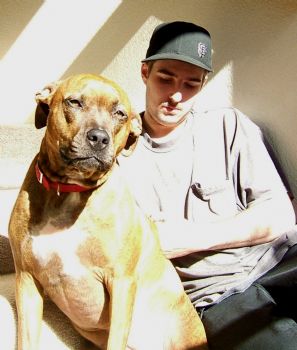 dojadog profile photo