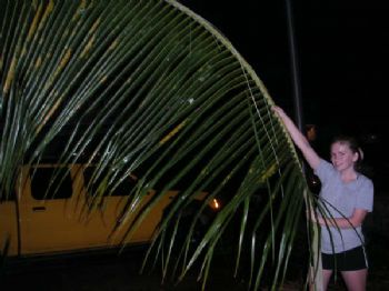 USMAsis profile photo