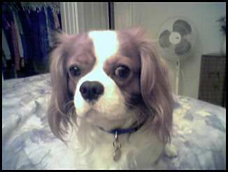 evie248 profile photo