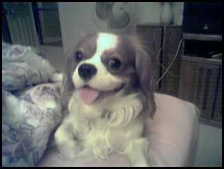 evie248 profile photo