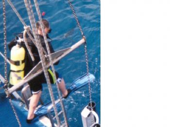 ohadimer profile photo