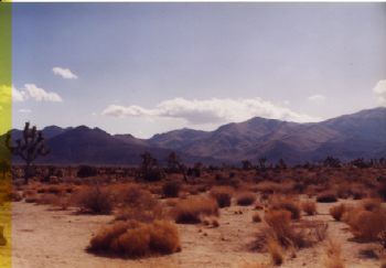 BrownCh profile photo