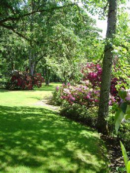 naklingen profile photo