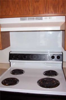 adioking profile photo