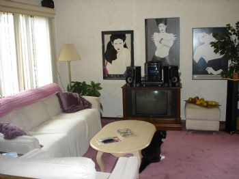 dedrarjs profile photo