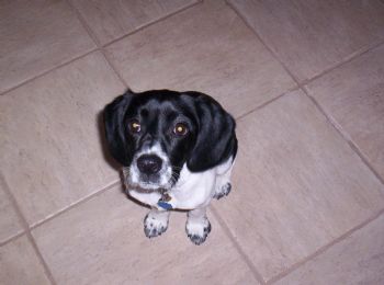 linser430 profile photo