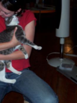 kcpuck profile photo