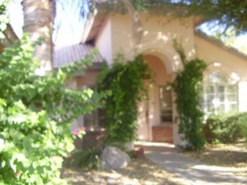 Pritch profile photo