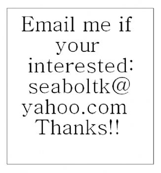 kittenlove profile photo