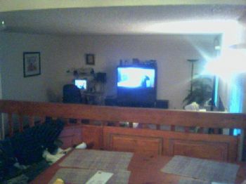 colo2569 profile photo