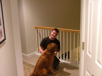 linkinpark profile photo