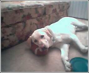 TTUJamie81 profile photo