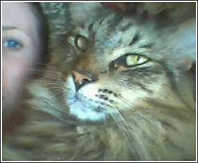 TTUJamie81 profile photo