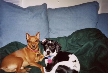 coqui15 profile photo