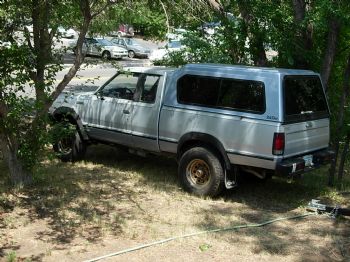 skaterhouse profile photo