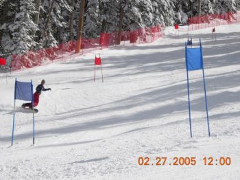 skaterhouse profile photo