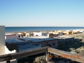 skaterhouse profile photo