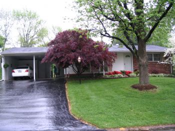 deborahdicks profile photo