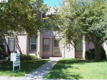 IceTrap profile photo