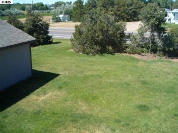 IceTrap profile photo