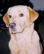 liquidsa profile photo