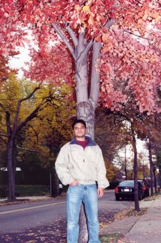 shirajkhan profile photo