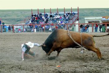 hndaciv profile photo