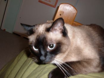 PaulandMegs profile photo