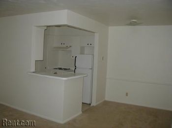 ohmissjessa profile photo