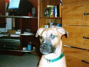 firefitrchik profile photo