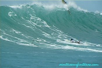 kiteboarder profile photo