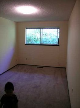 pacdrizzle profile photo