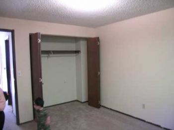 pacdrizzle profile photo