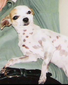beccagirl profile photo