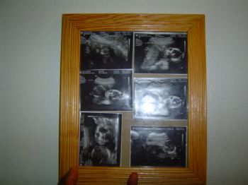 Quincy1 profile photo