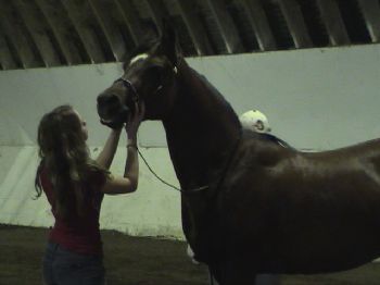 nchPitt profile photo