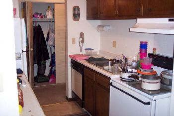 markjames profile photo