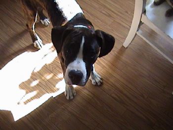 evesae profile photo