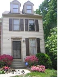 divegurl profile photo