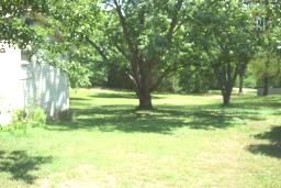 lindseyD profile photo