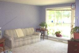 lindseyD profile photo