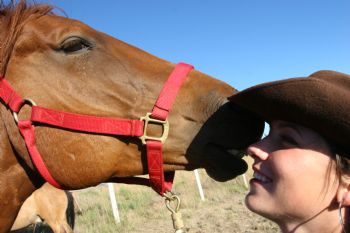 shrtcookie profile photo