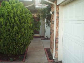 truden profile photo