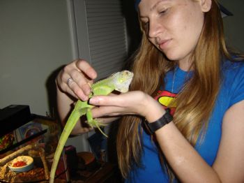 lisionok_koh profile photo