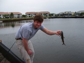 nohler01 profile photo