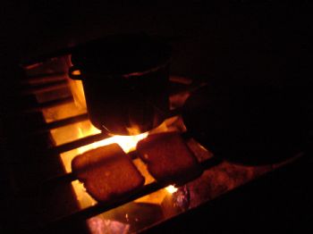 fireflyor profile photo