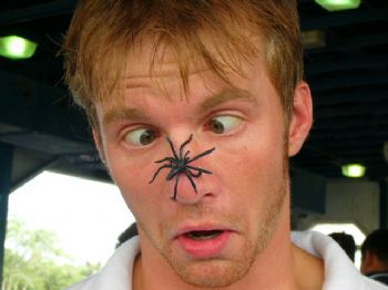 cyrix_alucar profile photo