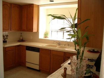 yakigyoza profile photo