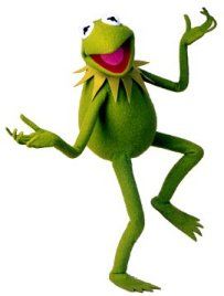 starfly profile photo