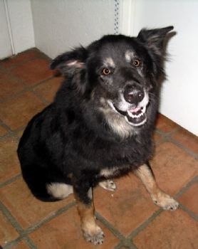 Serenit profile photo